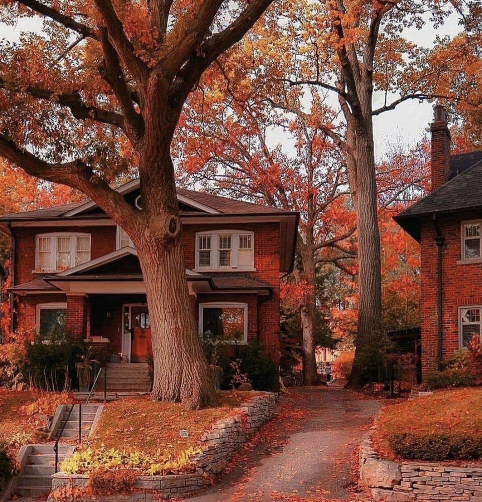 A red-brick house under tall autumn trees
