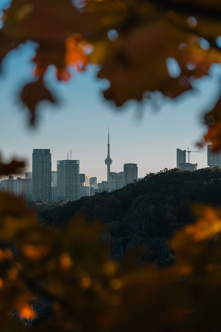 The CN Tower seen through autumn leaves