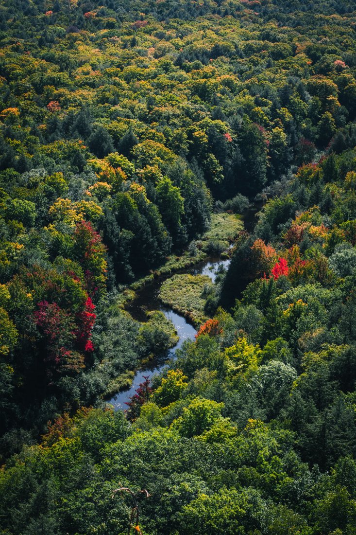 A river winding through a forest in early fall
