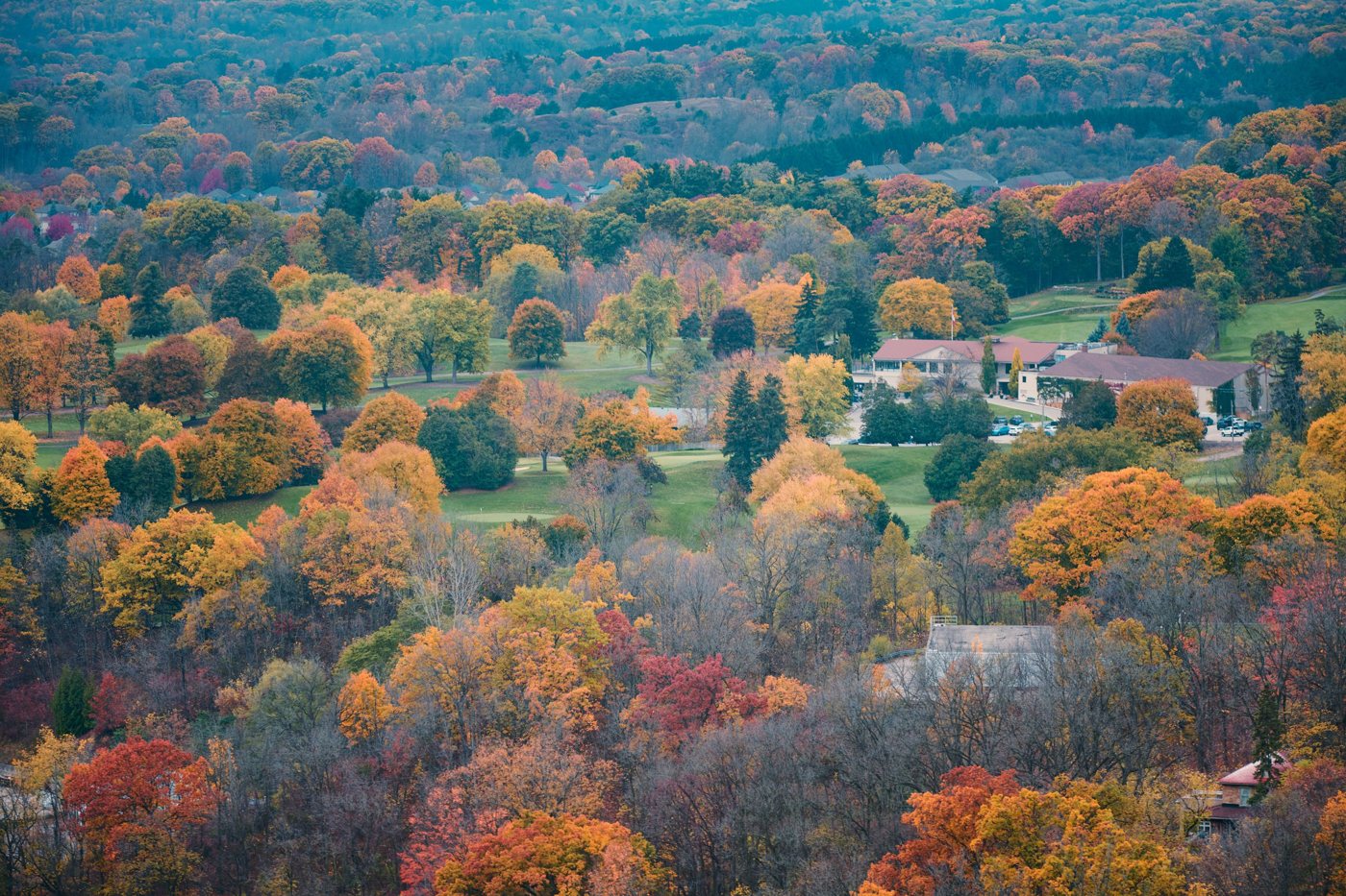 A valley of autumn trees